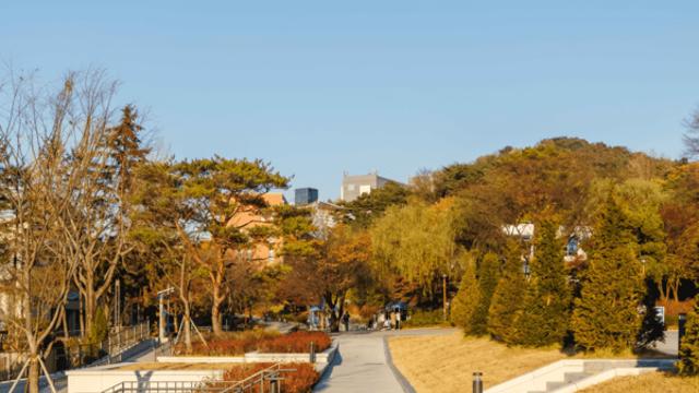 서울 관악구 가볼 만한 곳, 지성과 예술이 숨 쉬는 캠퍼스 주변의 가을 풍경