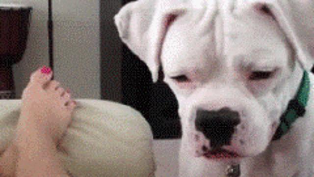 손 안대고 복수하는 방법.