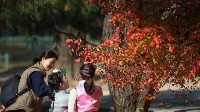 <오늘의 날씨> 곳곳 ‘영하권 추위’⋯일교차 15도 안팎