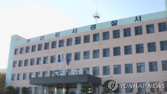 부산 강서경찰서 앞에서 만취운전 차량이 신호등 지주 충돌