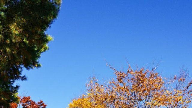 어린이대공원 출사 후기