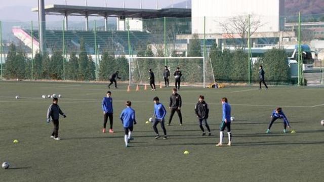 창원·고성 등 경남 시군, 동계전지훈련 유치 시동…인프라 풍부