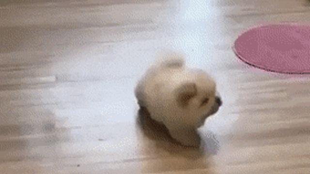 못생긴게 귀엽네.