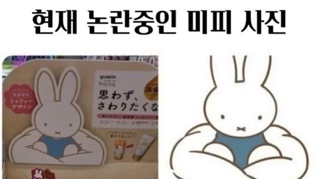 현재 논란중인 미피 사진