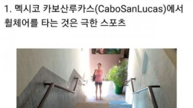 디자이너의 의도가 궁금하다.