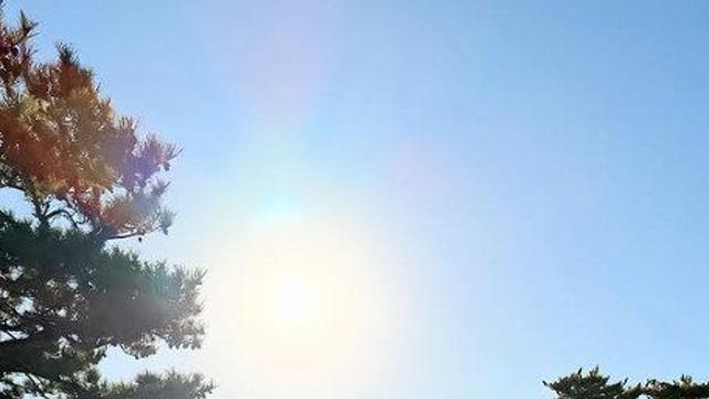 은가은, D라인 뽐내며…배가 반짝반짝해 [DA★]