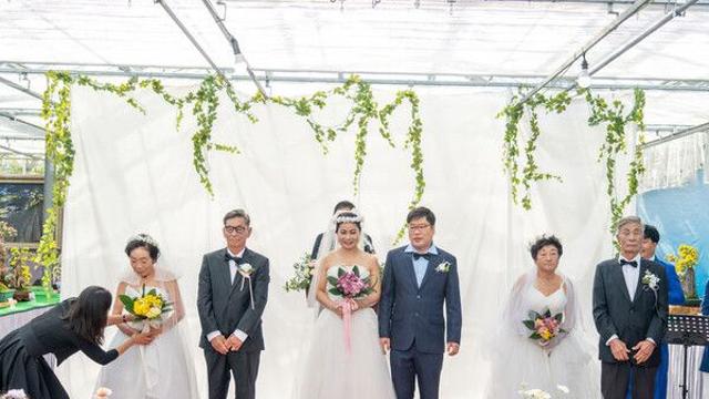 거제 섬꽃 결혼식, 노부부 2쌍·다문화 부부 1쌍 화촉