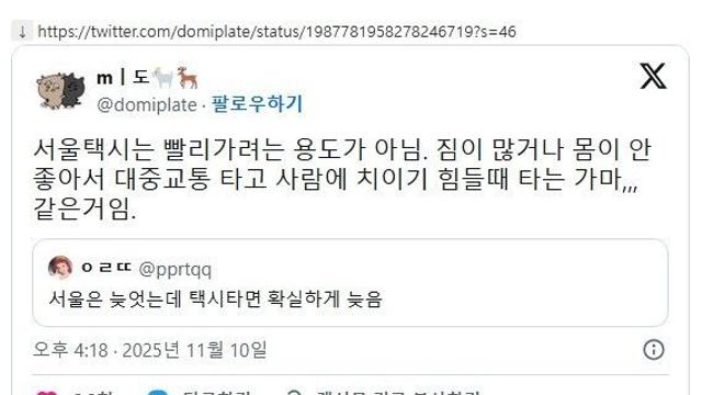 서울택시는 빨리가려는 용도가 아님 ㄹㅇ