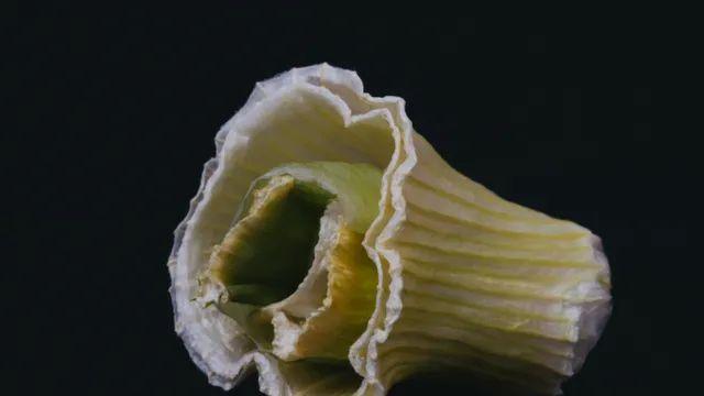 한참 뒤에 올리는 10월 사진 모음