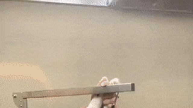 이... 치욕을 잊지 않겠다!!!