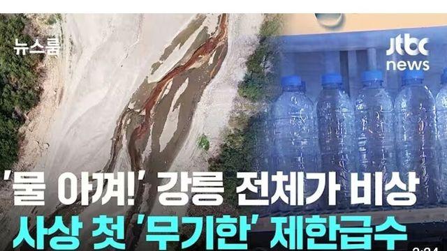 강원도 강릉 근황