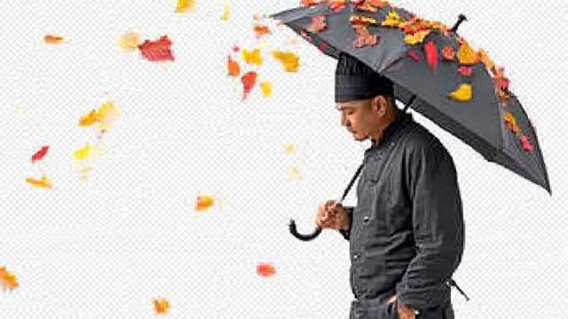 [법위에쩐21]  종업원은 유죄인데, 백종원 대표는 무죄? 뭔 법이?