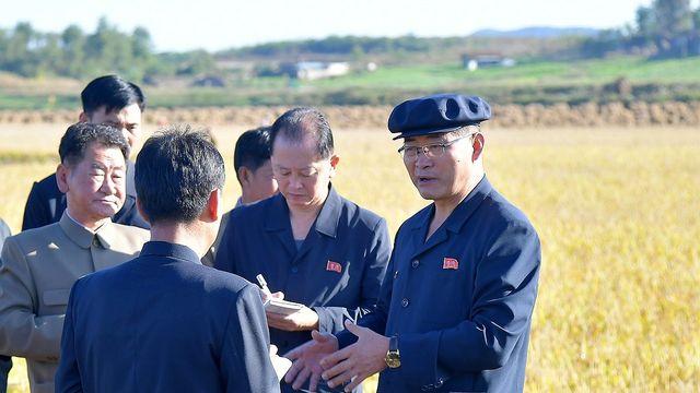 추수 끝낸 북한 