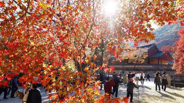 [내일날씨] 수능 D-1 낮부터 포근…큰 일교차 주의