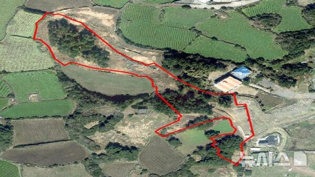 제주 산림서 1200여그루 무단 벌채 60대 구속