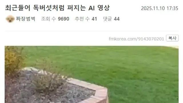 [스압] 최근들어 독버섯처럼 퍼지는 AI 영상,,
