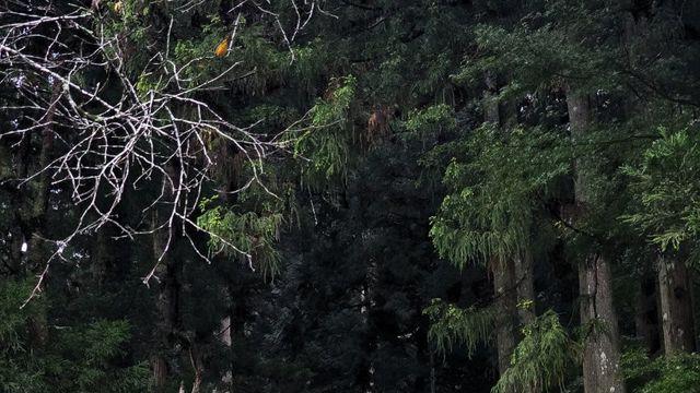 오늘의 호쿠리쿠 탐험