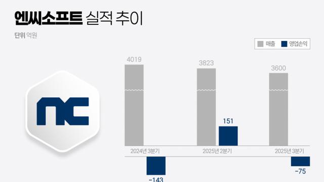 믿을 건 '아이온2'···엔씨소프트 