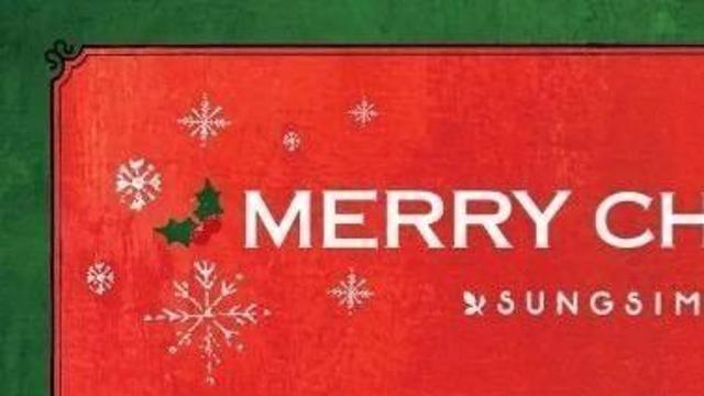 성심당 케이크 광고와 실사 차이 