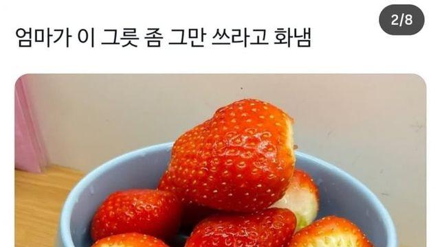 흰둥이 밥그릇 후기