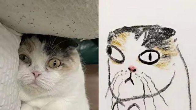 그림이랑 똑같은 고양이