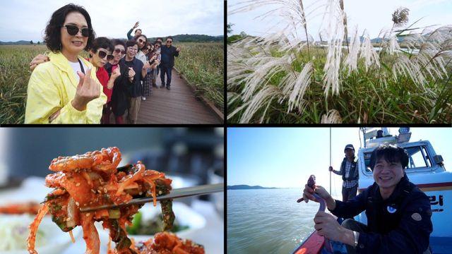 한국기행 가을 1번지 2부 순천만 미식 여행