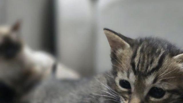 스압) 짤붕이 유럽 여행 일지 - (1)독일/라트비아/폴란드