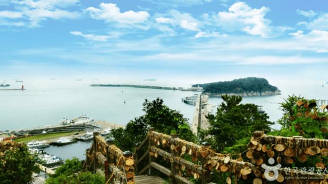 여수 바다의 숨결이 스미는 가을 여행, 파도와 동백이 전하는 이야기