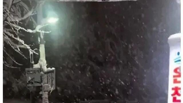 은혜갚은 포크레인촌