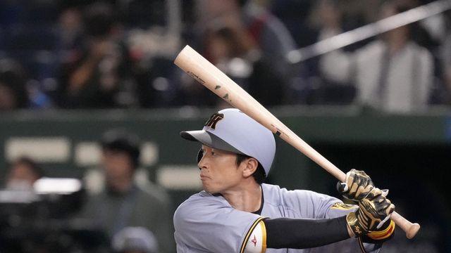 2025시즌 일본프로야구 골든글러브 주인 모두 가려졌다…한신, 무려 수상자 7명 배출