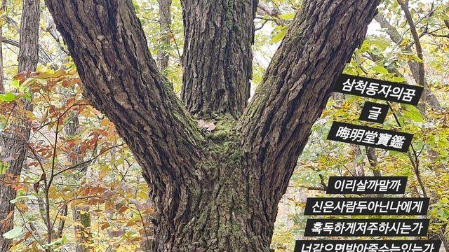 [보감과의 동행161]   삼척동자의꿈