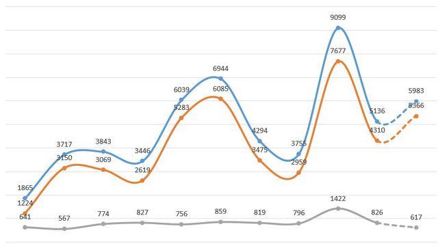 일본은 정말 곰을 제대로 잡고 있지 않는가? 