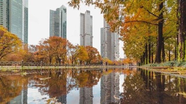 서울 기행, 고궁의 고요함과 현대의 역동성이 교차하는 시간