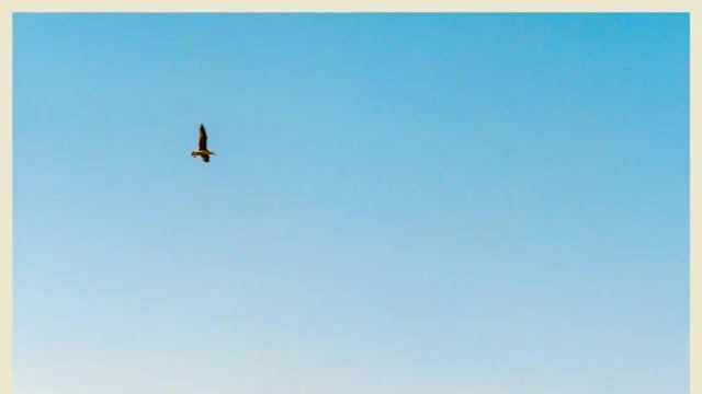 [스압] 펜탁스 67로 찍어본 터키 여행 사진들