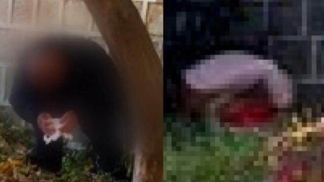 경복궁 돌담 아래서 외국인 관광객 '길거리 용변' 논란