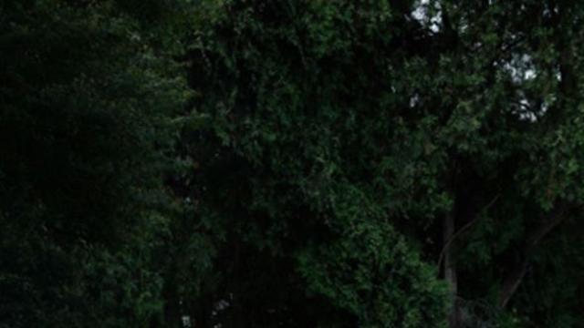 지천, 오늘(12일) 시티팝 신곡 ‘Fresh Love’ 발매…달콤하고 편안한 보이스 매력