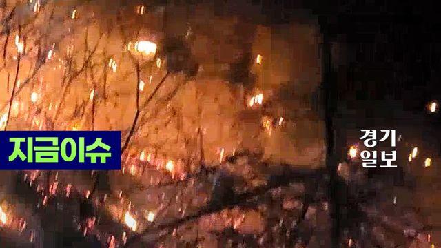 야간진화에도 꺼지지 않는 산청·의성 산불… 강풍에 건조한 대기까지