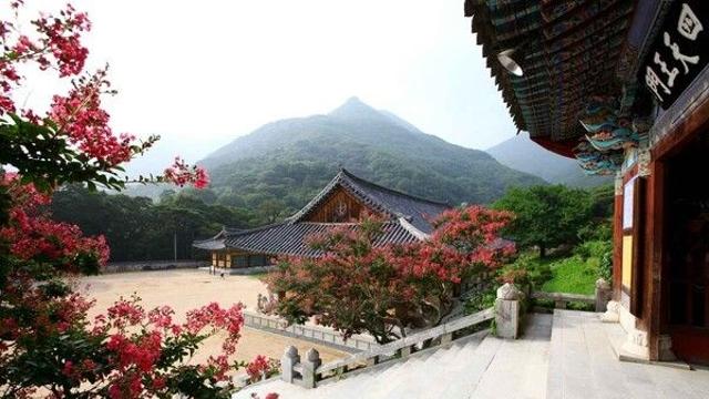 밀양 가볼 만한 곳, 숲과 강이 선사하는 가을날의 여유