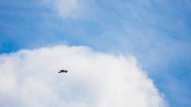 쉬어가는 시골 탐조