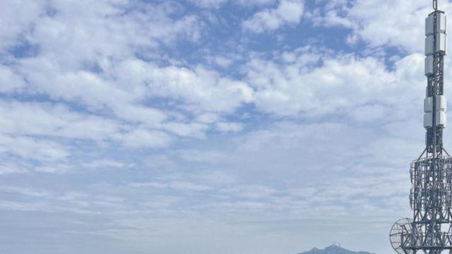 애견동반 가능한 온천, 찜찔방, 템플 스테이 가볼 만한 곳 8