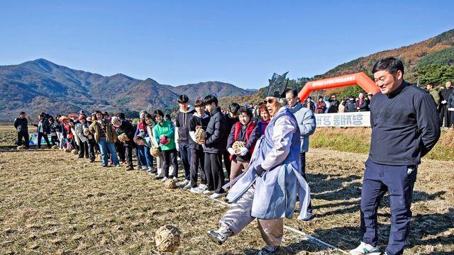 단 한 번뿐인 하동 가을여행! 11.22-23 하동 핫플레이스 투어 및 논두렁축구대회 관람