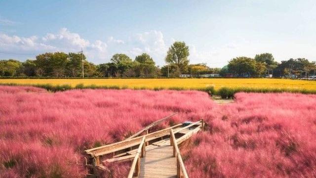 평택 가볼 만한 곳, 고요한 자연 속에서 만나는 활력의 공간