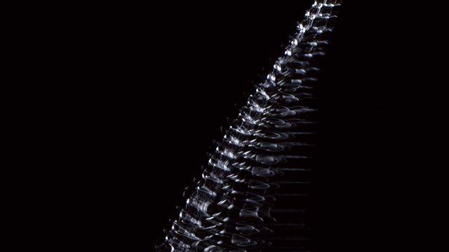 요즘 화제인 '롱제비티 세럼' 뷰티 에디터들의 찐리뷰