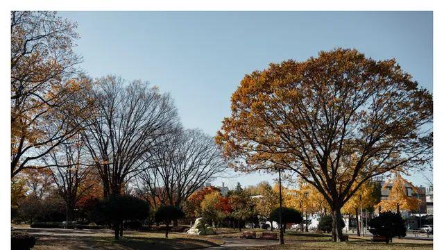 수원화성 단풍구경(25pic)