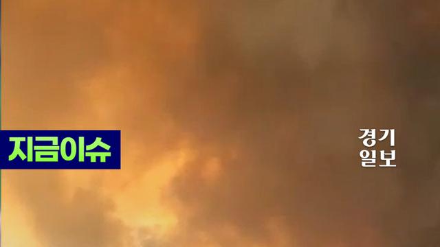 경북 의성 '산불'...안동까지 번졌다