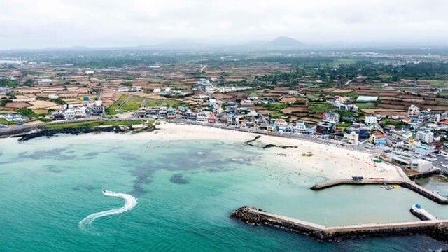 가을 여행, 바람과 파도, 그리고 꽃의 이야기가 흐르는 제주도
