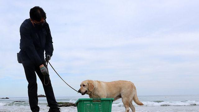 포항 해안서 마약 의심 물질 3개째 발견…해경·군 합동 수색