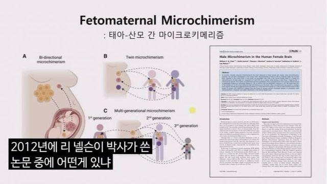 아들을 낳은 여자는 뇌가 변한다..jpg