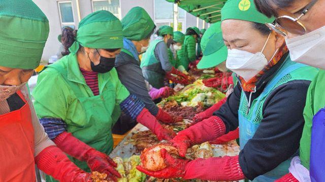 영양군 새마을회, 사랑의 김장&반찬 나누기