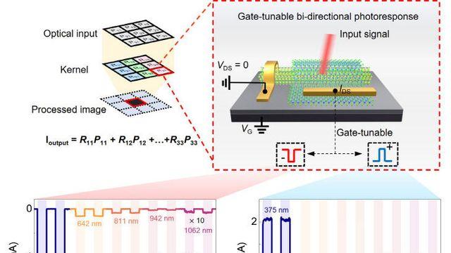 부산대-성균관대, 빛으로 감지·연산 동시 인센서 소자 개발